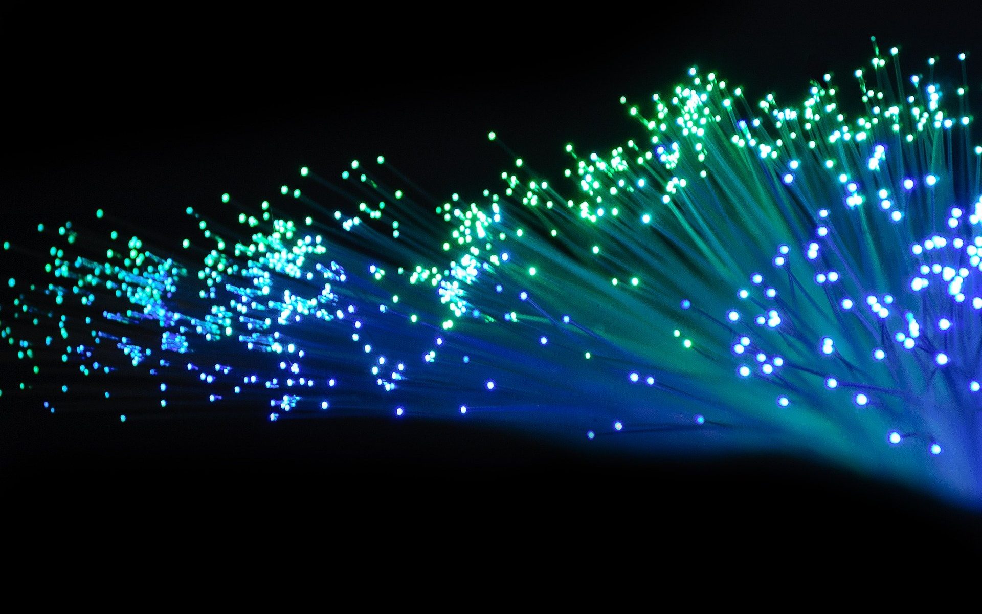Fibre